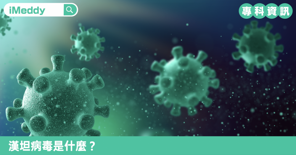 漢坦病毒是什麼？