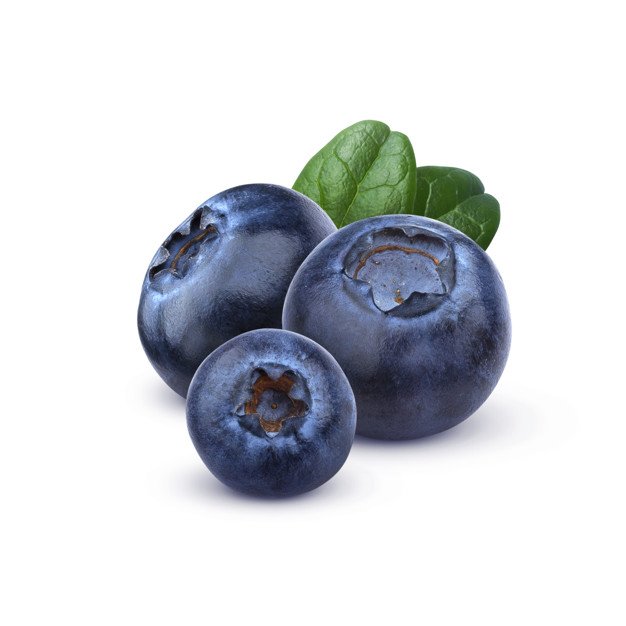 Blueberry isolated on white background Premium Photo